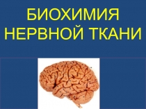 нервная ткань