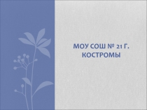 МОУ СОШ № 21 Г.КОСТРОМЫ