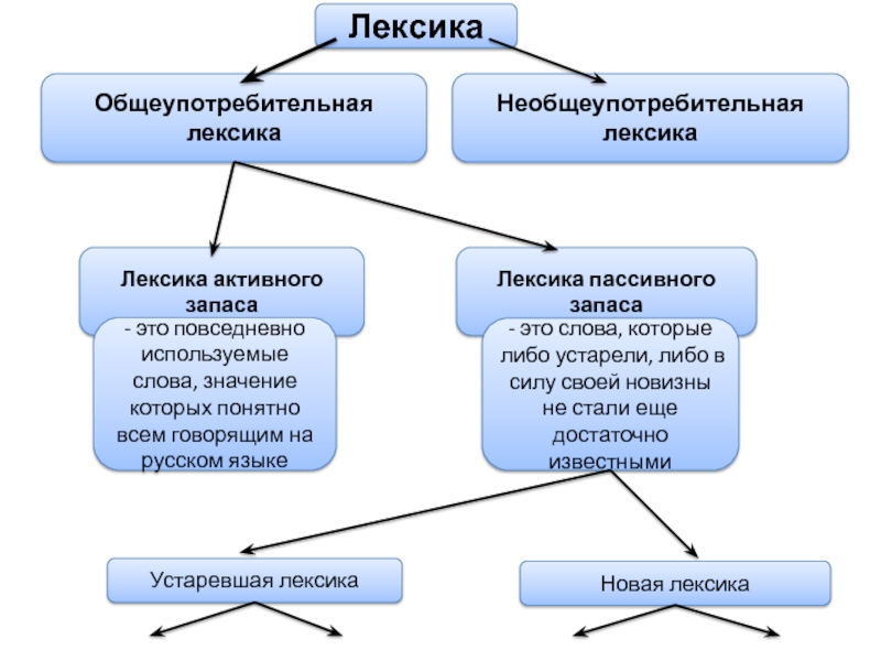 Лексика схема 6 класс