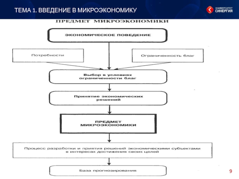 План на тему микроэкономика