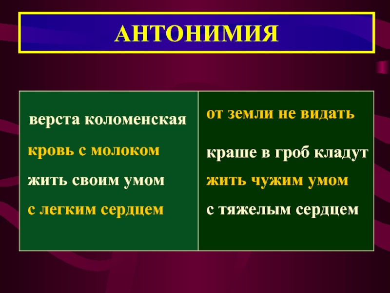 Типы антонимии. Антонимия.