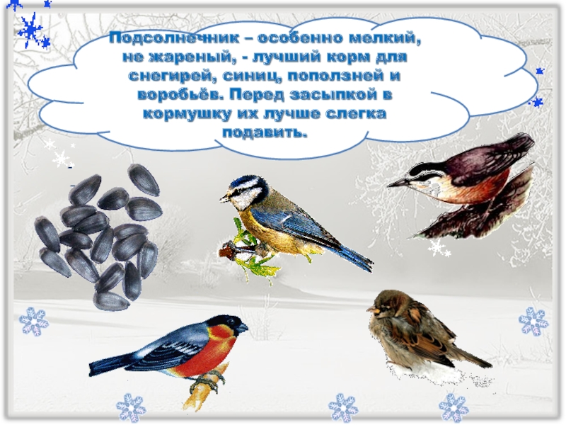 Как зимой помочь птицам презентация 1. Стих про снегиря и синицу. Стих про синичку и снегиря. Стихотворение про снегиря и синицу. Снегири синички стишок.