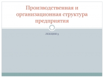 Производственная и организационная структура предприятия
