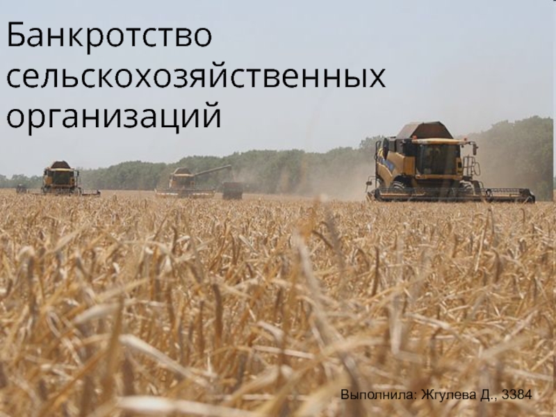 Банкротство сельскохозяйственных организаций
Выполнила: Жгулева Д., 3384