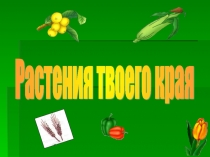 Презентация к уроку окружающего мира по теме 