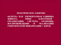  Ядро 