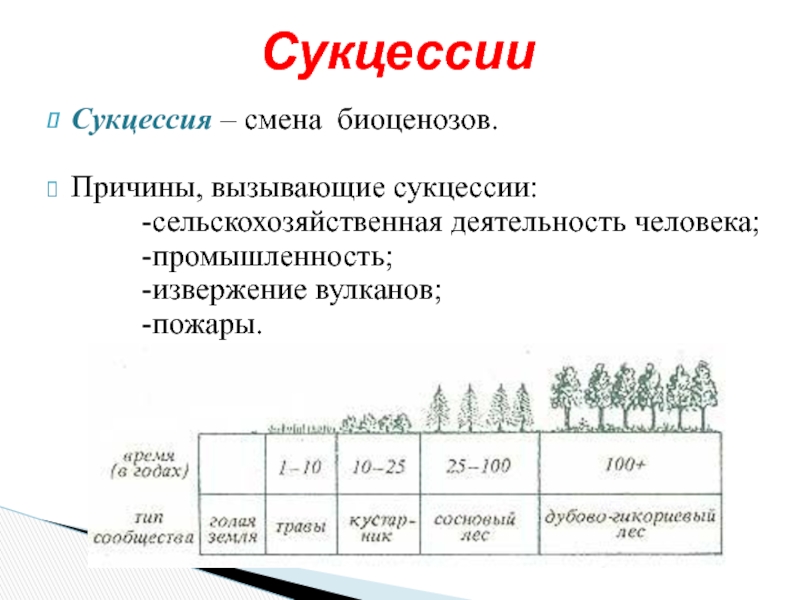 Причины сукцессии схема