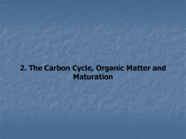 2. The Carbon Cycle, Organic Matter and Maturation