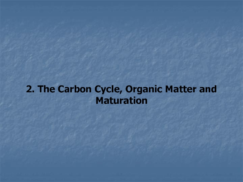 2. The Carbon Cycle, Organic Matter and Maturation
