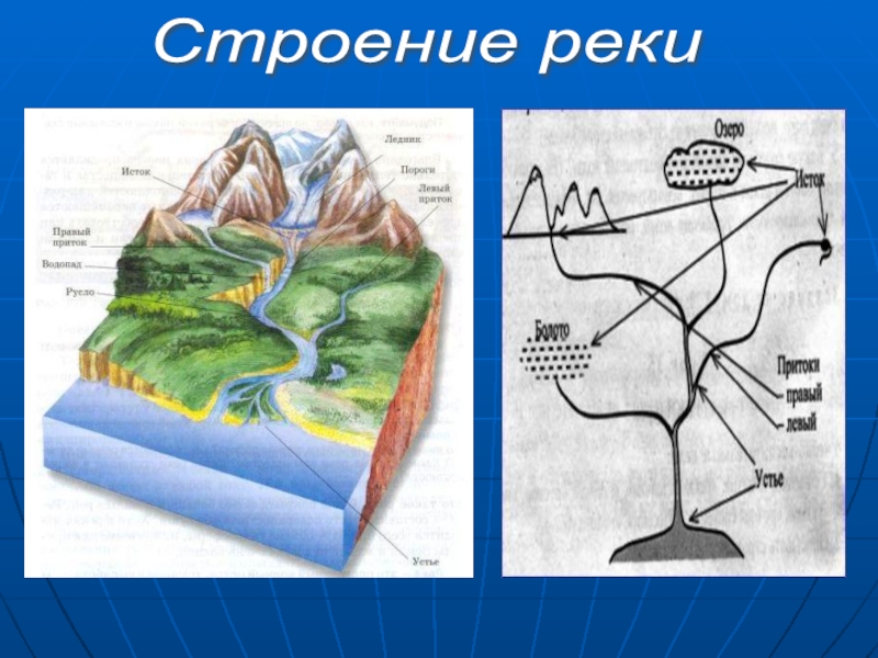 Соотнеси части речной системы с точками на изображении