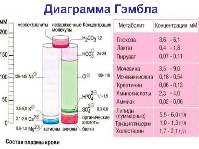 Диаграмма гэмбла это