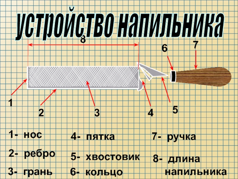 На чертеже изображен напильник с ручкой