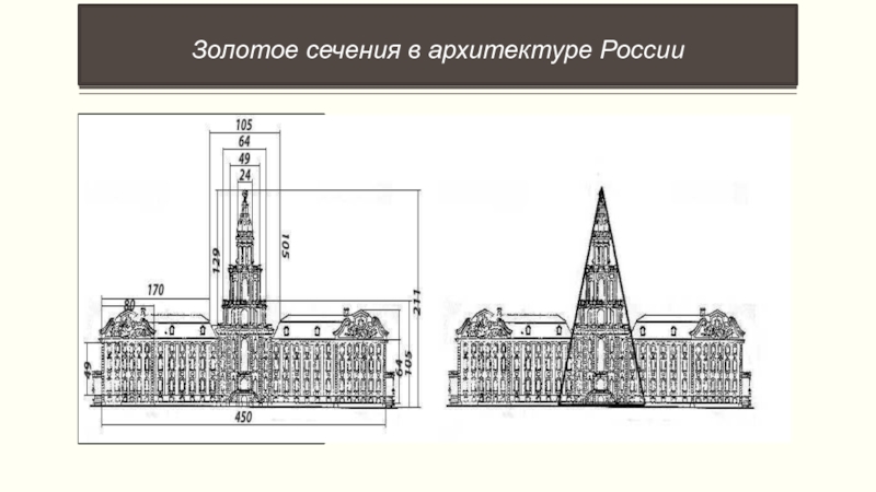 Кунсткамера план здания