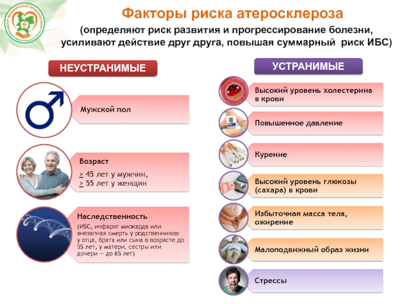 Факторы риска атеросклероза картинки