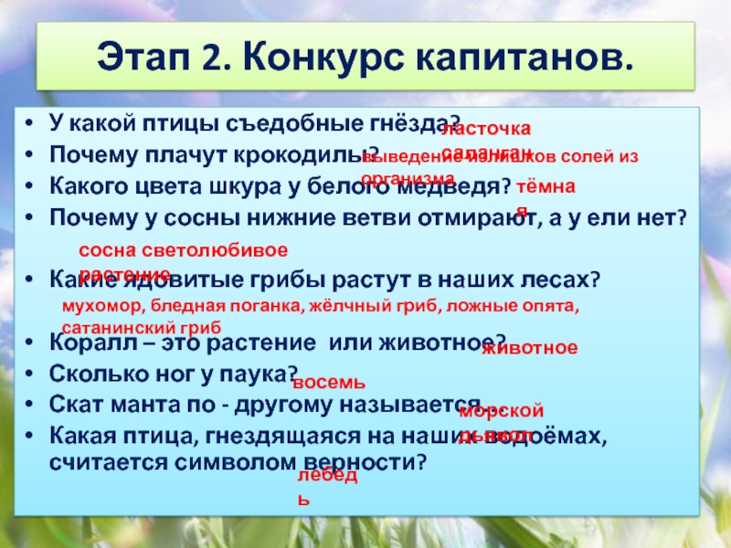 Загадка природы характеристика и описание. Экологическая игра загадки природы. Почему у гнездовых птиц моногамная стратегия.