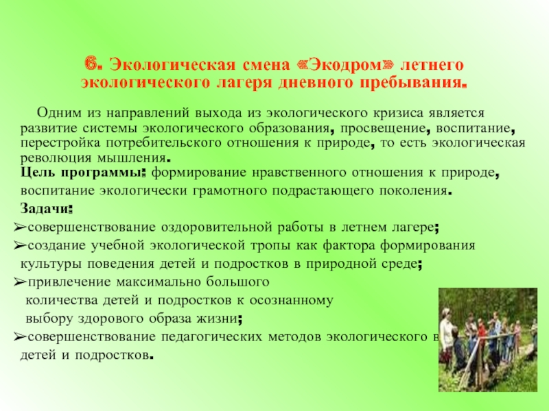 Окружающее направление. Экологический план в лагере. Экологическое направление в лагере. Экологическая смена в лагере. Лагерь экологической направленности.