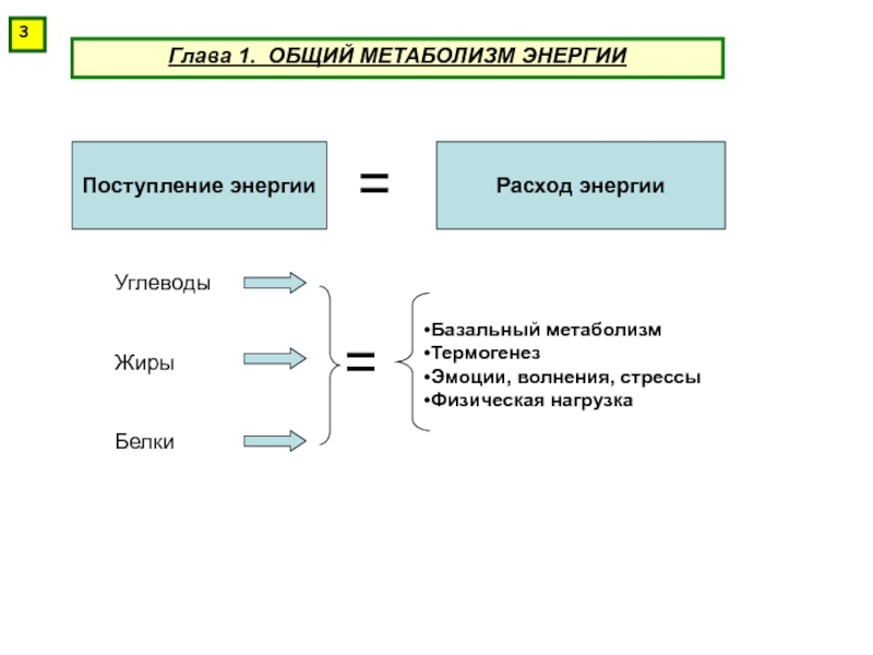 Обмен веществ и энергии тест 6 класс. Основной и общий обмен веществ. Поступление энергии. Основной и общий обмен. При адаптивном термогенезе расход энергии.