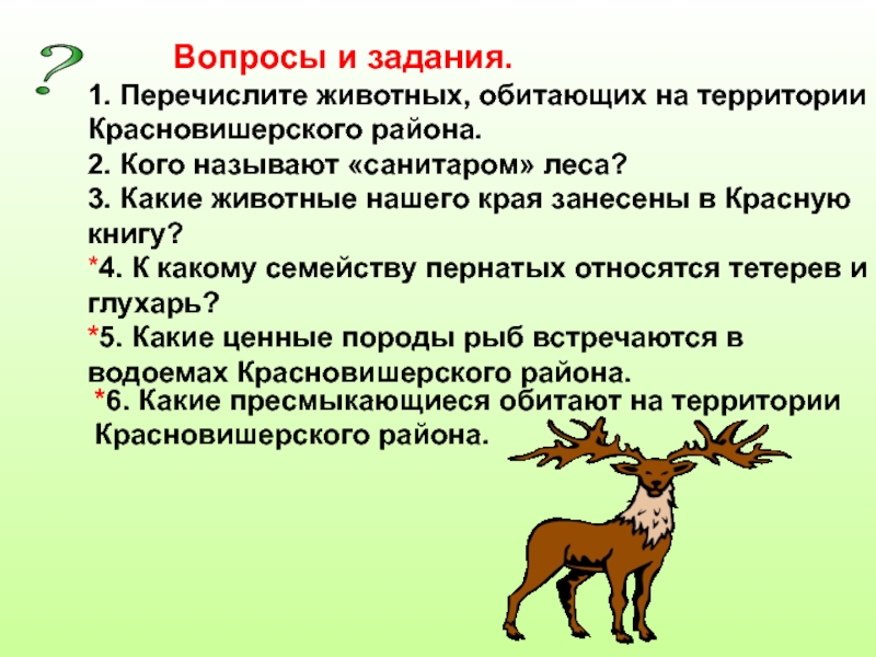 Почему волка называют санитаром. Кого называют санитаром леса из животных. Каких животных называют санитар. Какие животные являются санитарами леса. Красная книга Красновишерского района.