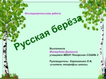 Исследовательская работа по теме: 