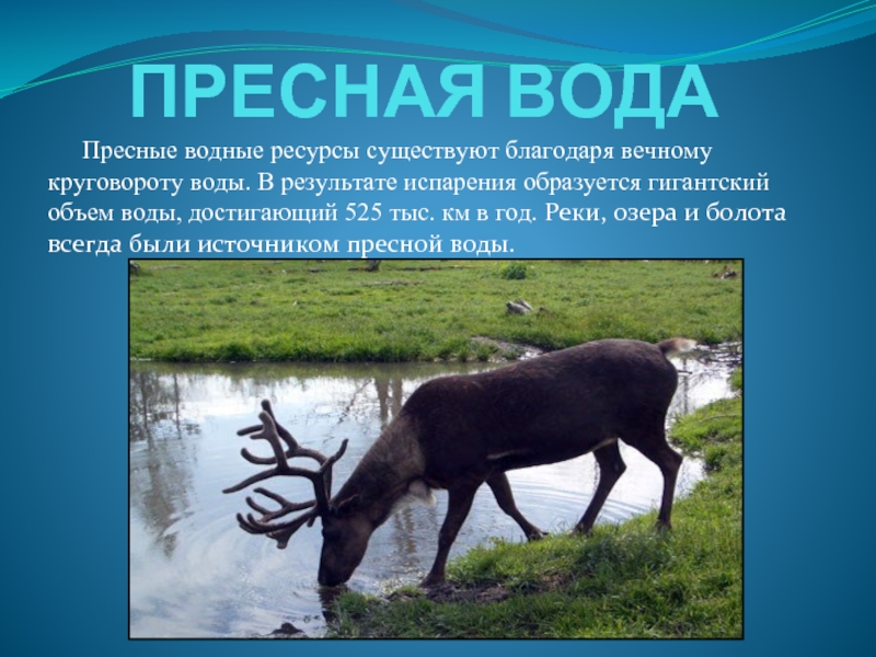 Особенности пресных вод. Сообщение о пресных Водах. Пресная вода. Пресный. Пресная.