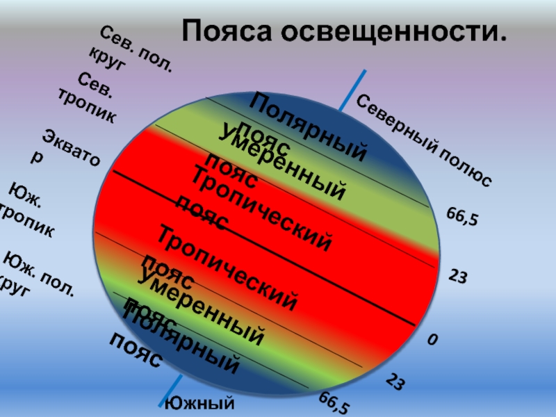 Радикулитный пояс фото