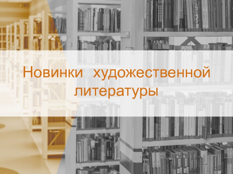 Рабочая программа литература 2023. Новинки художественной литературы. Новинки отраслевой литературы. Художественная и отраслевая литература. Отраслевая литература Заголовок.