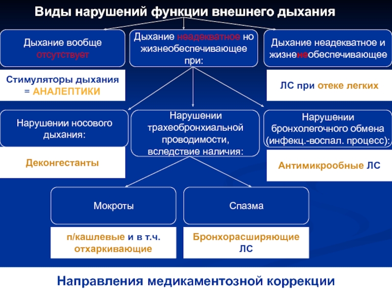 Дыхательная система фармакология презентация