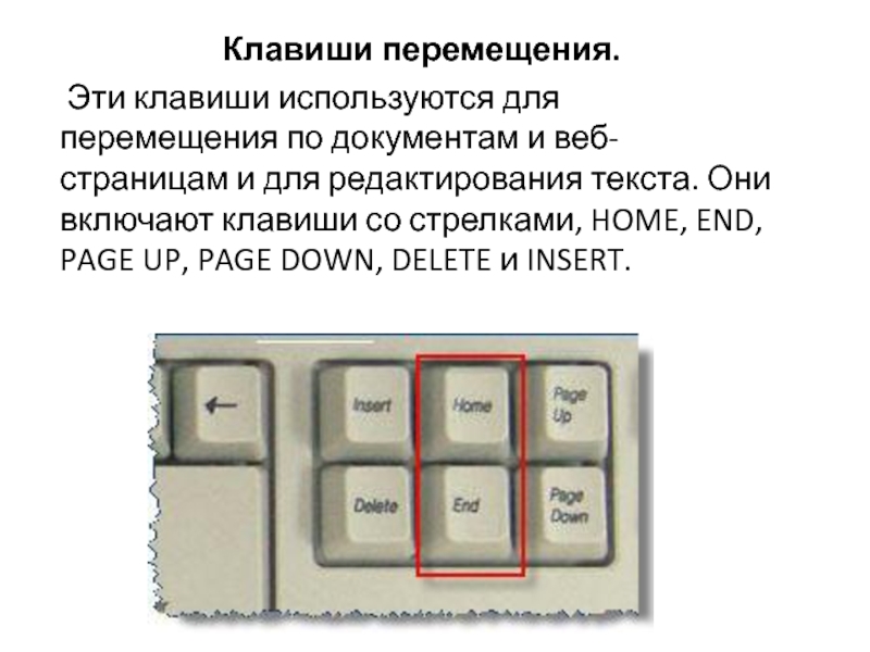 Для включения дополнительной цифровой клавиатуры используется клавиша. Клавиши перемещения по тексту. Рамка клавиши для презентации. Кнопки движения. Клавиша движения черепаха.