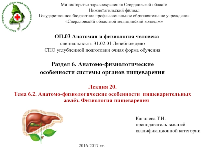 Презентация Министерство здравоохранения Свердловской области Нижнетагильский филиал