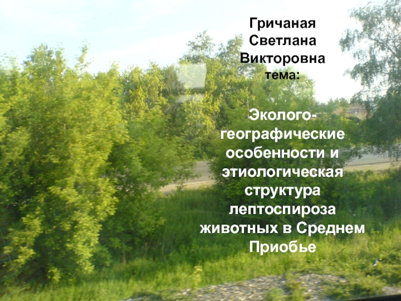 Гричаная Светлана Викторовна тема: Эколого-географические особенности и