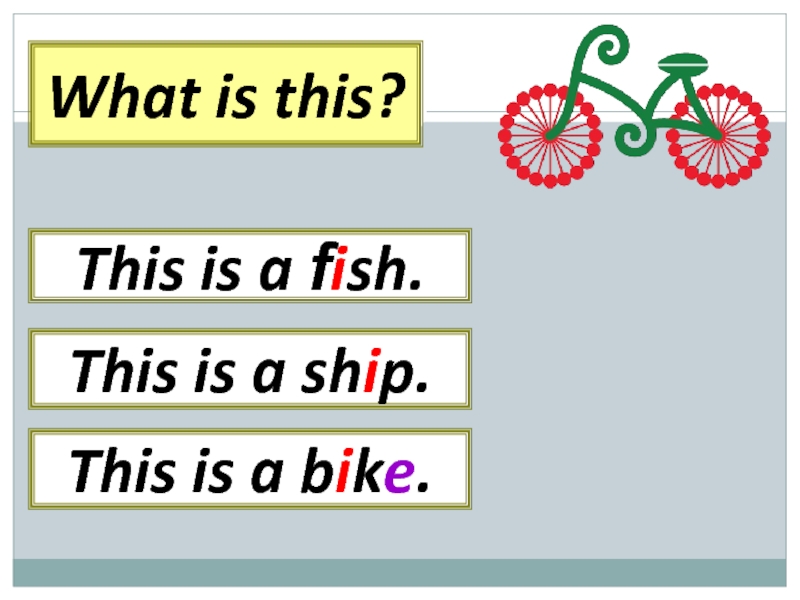 What is this? This is a ship.This is a fish.This is a bike.