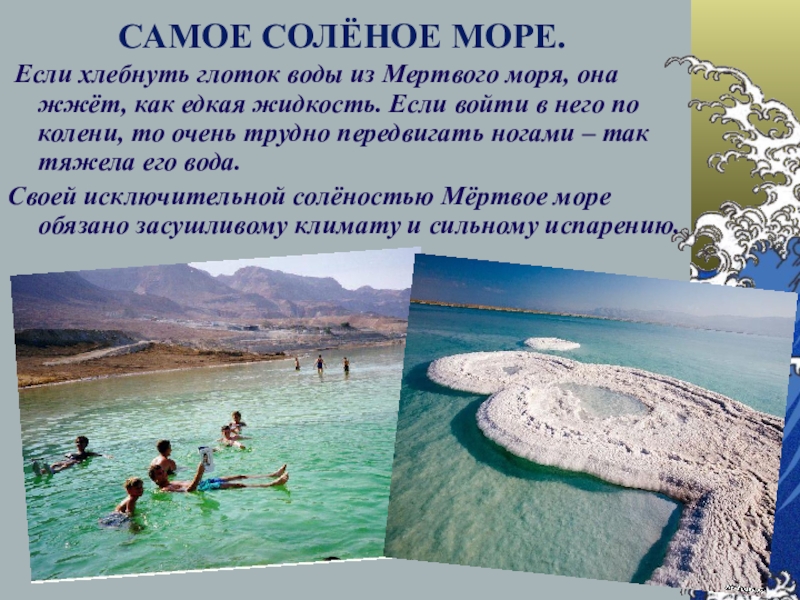 Выберите самое соленое море тихого океана. Соленость мертвого моря. Самое соленое море. Самое слоленое море в мир. Самое соленое море Мертвое море.