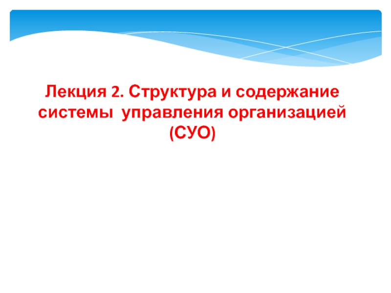 Лекция 2. Структура и содержание системы управления организацией (СУО)