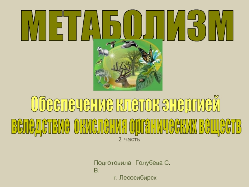 Метаболизм - Обеспечение клеток энергией вследствие окисления органических веществ - Часть 2