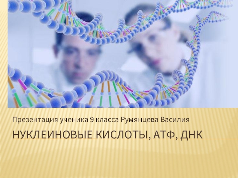 Презентация Нуклииновые кислоты, АТФ, ДНК