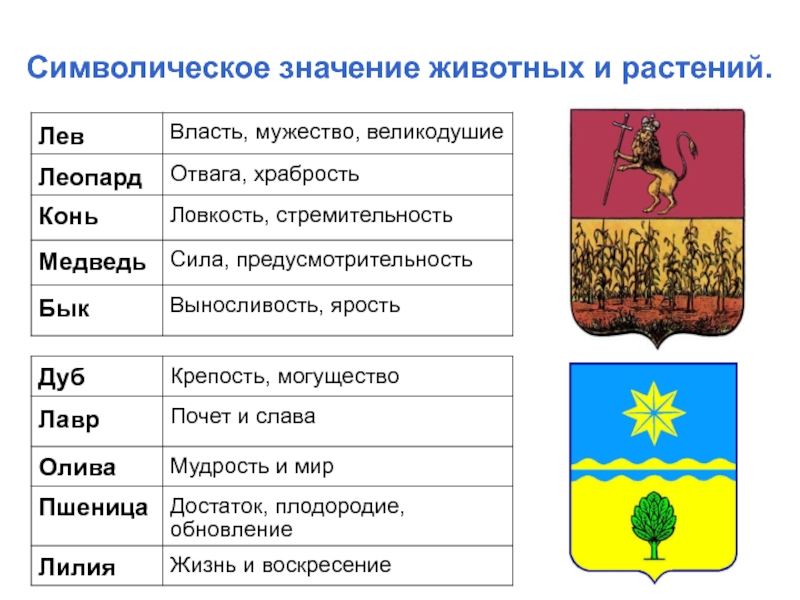 Растения в государственной символике стран проект