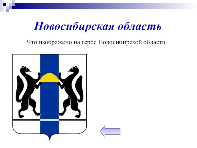 Новосибирская областьЧто изображено на гербе Новосибирской области.