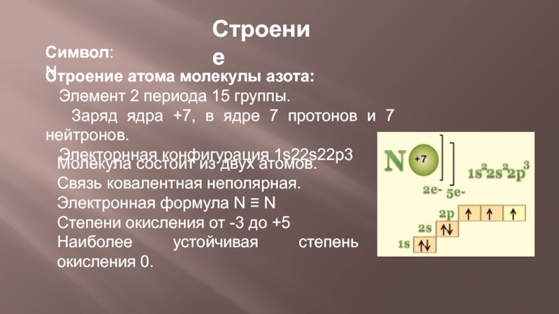 Заряд атома углерода равен. Азот состав атома химического элемента. Строение атомов химических элементов азота. Азот строение атома и степени окисления. Характеристика азота строение атома.