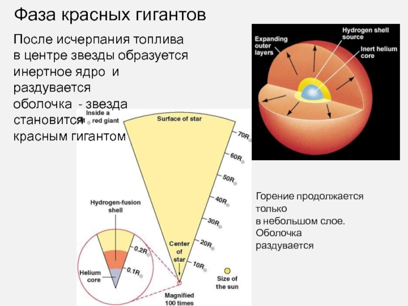 Строение звезды схема