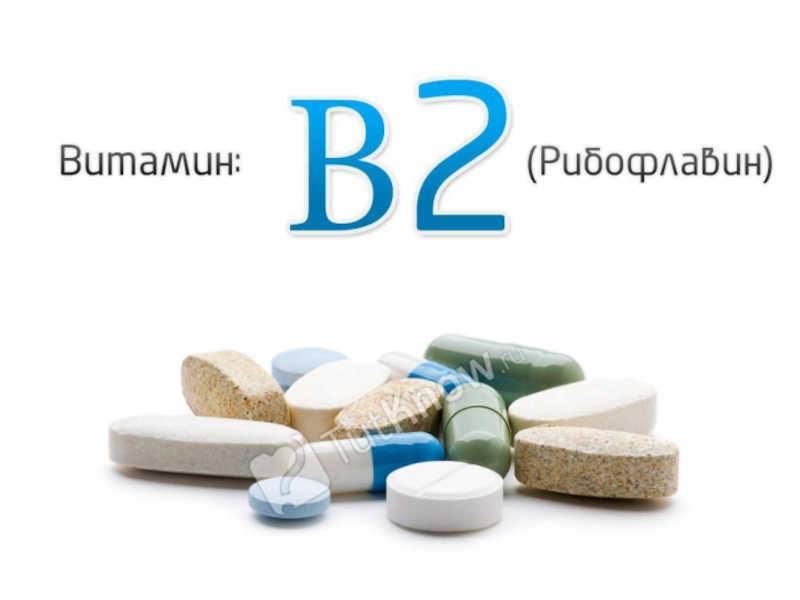 Презентация Рибофлавин. Витамин B2