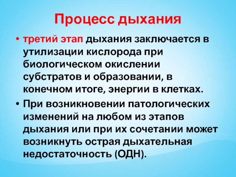 Кислородный этап дыхания