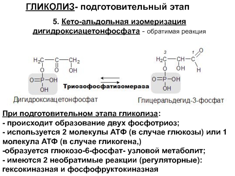 4 реакция гликолиза. 2 Этап гликолиза реакции. Кетоальдольная изосеризация.
