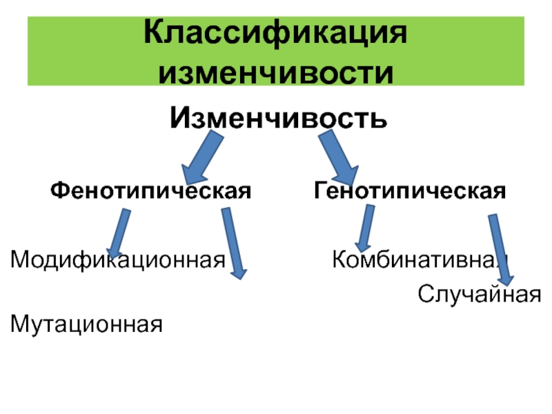 Изменчивость схема биология