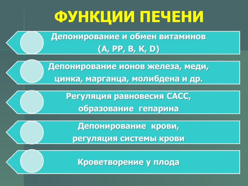 Печень патофизиология презентация