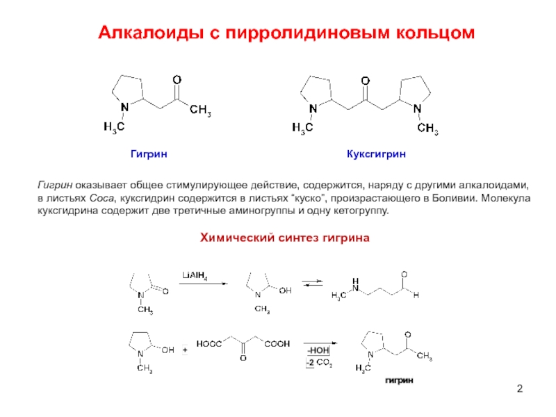 Презентация по химии алкалоиды