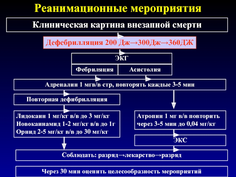 Алгоритм диагностики внезапной смерти схема