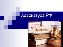 Адвокатура РФ