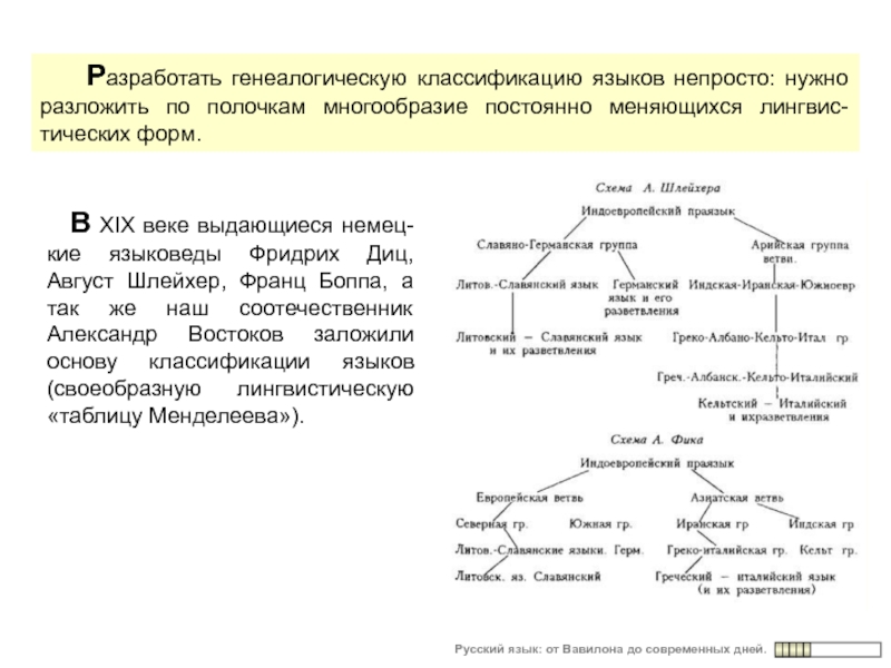 Генеалогическая классификация языков презентация