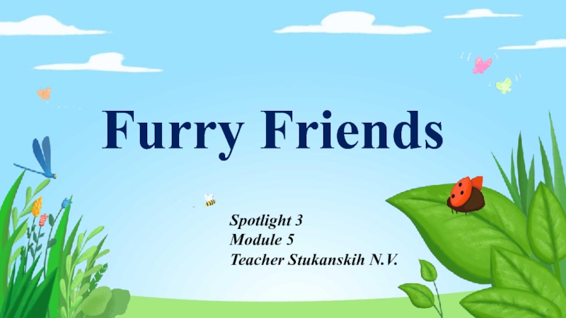 Презентация Furry friends