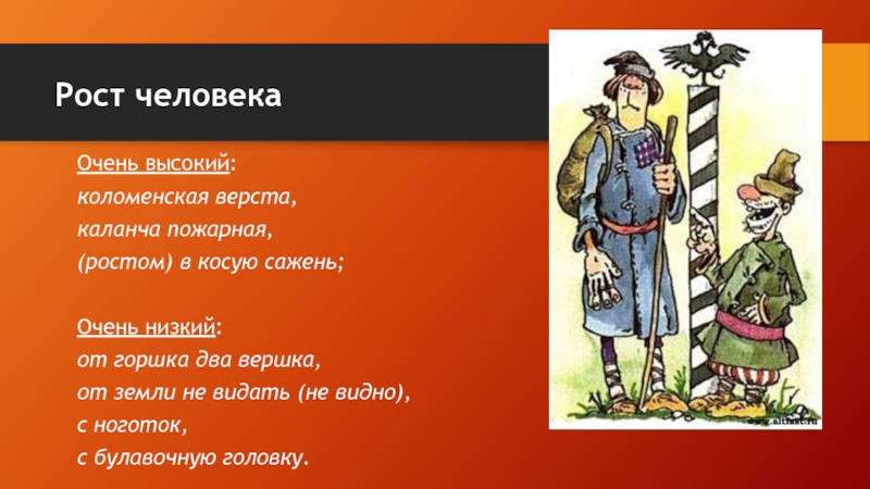 Легенды о людях очень низкого роста. Коломенская верста фразеологизм. Фразеологизм о человеке высокого роста. Фразеологизмы про рост. Коломенская верста происхождение фразеологизма.